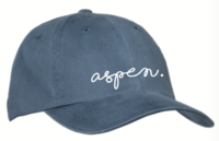 Garment Washed Caps Aspen Script