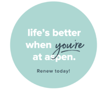 Aspen Renewal Stickers