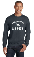 Aspen University Gildan® Crewneck Sweatshirt